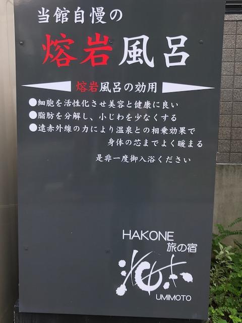 Umimoto Hotel Hakone Bagian luar foto