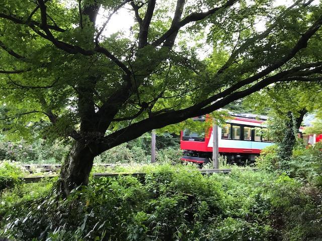 Umimoto Hotel Hakone Bagian luar foto