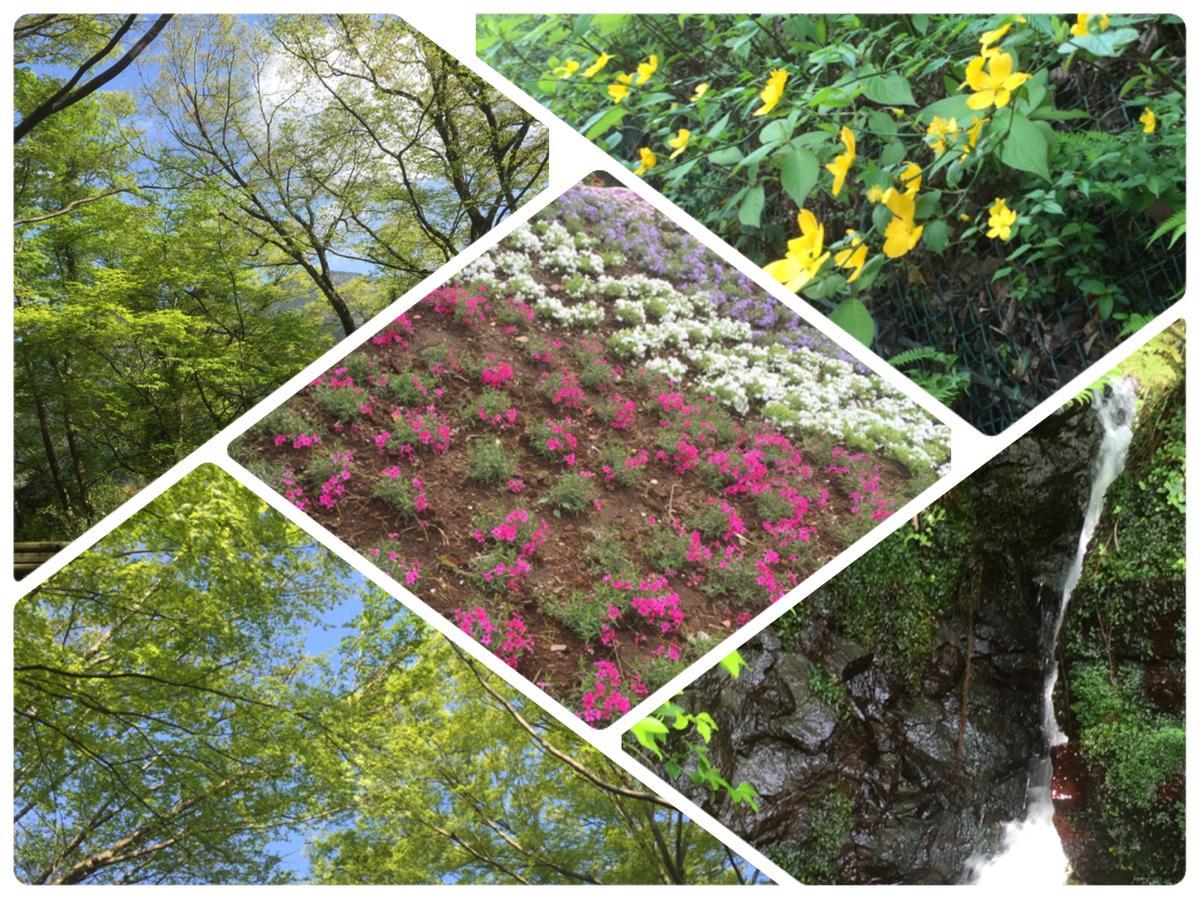 Umimoto Hotel Hakone Bagian luar foto