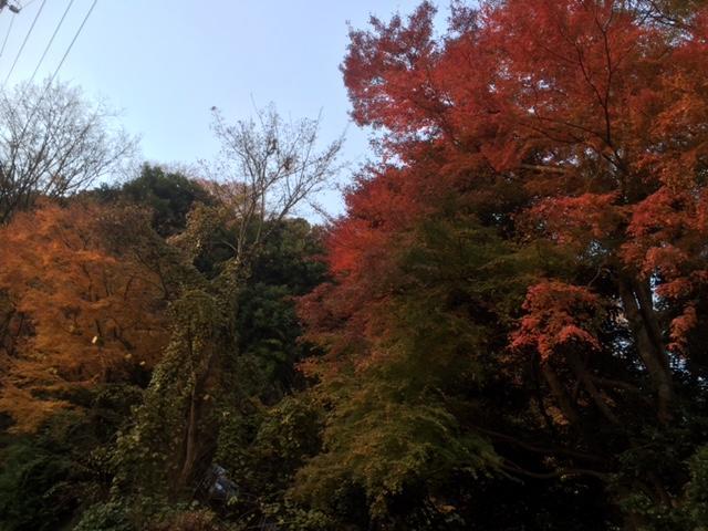 Umimoto Hotel Hakone Bagian luar foto