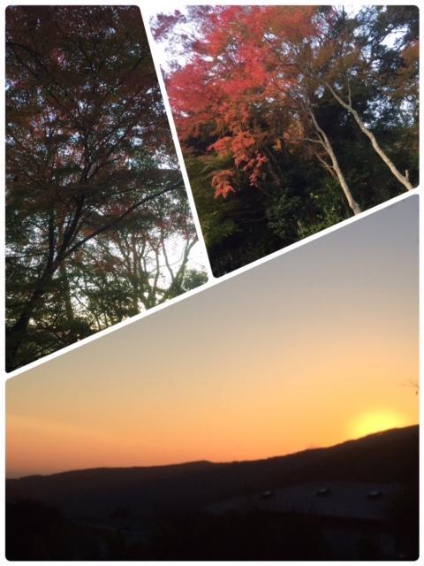 Umimoto Hotel Hakone Bagian luar foto