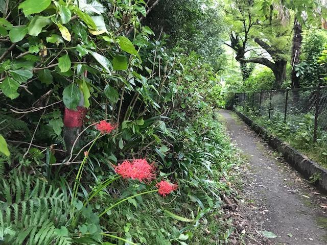 Umimoto Hotel Hakone Bagian luar foto