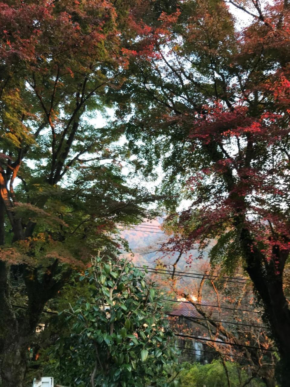 Umimoto Hotel Hakone Bagian luar foto