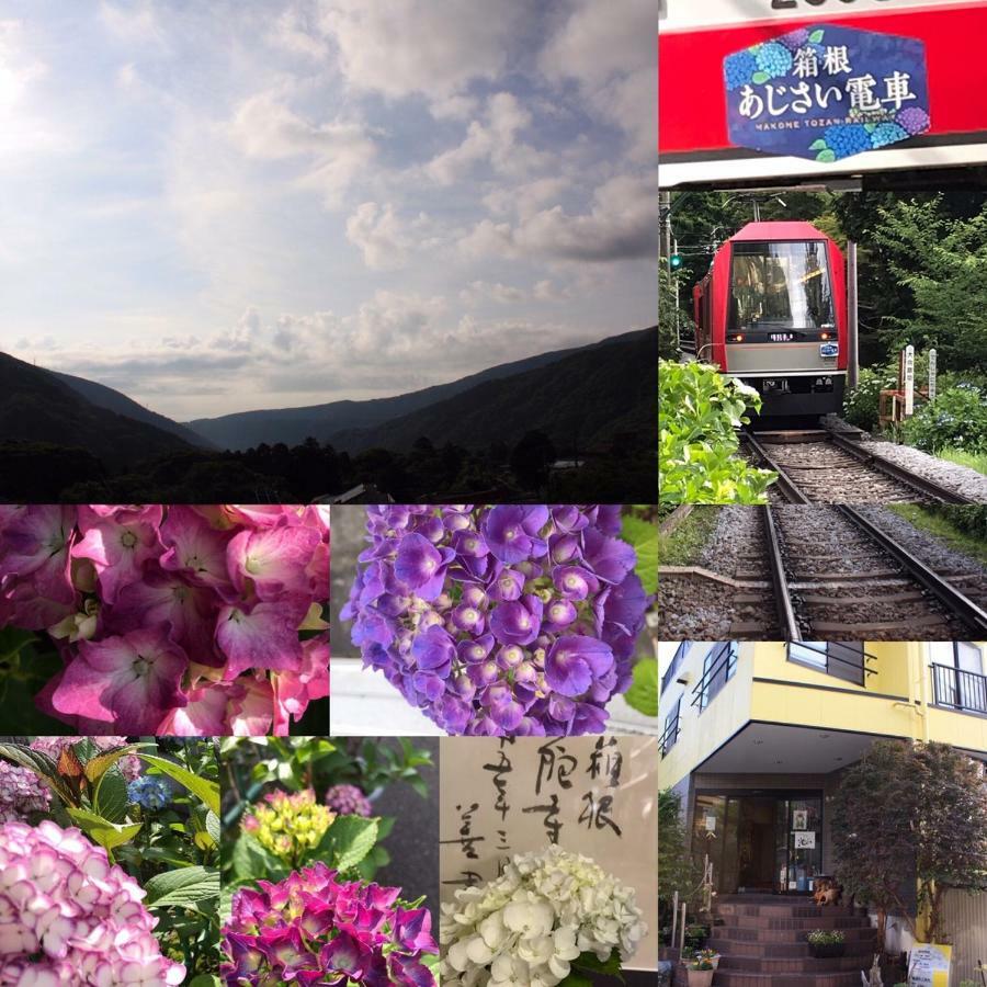 Umimoto Hotel Hakone Bagian luar foto