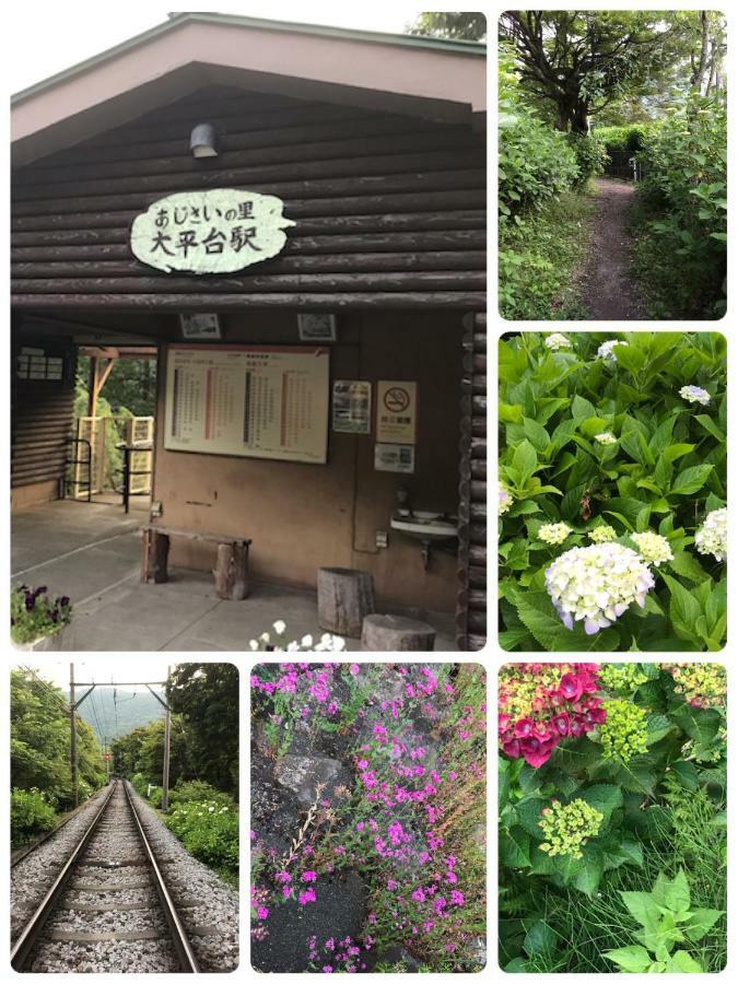 Umimoto Hotel Hakone Bagian luar foto